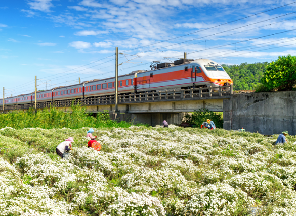 Under the Radar: Why Now is the Time for Emerging Markets