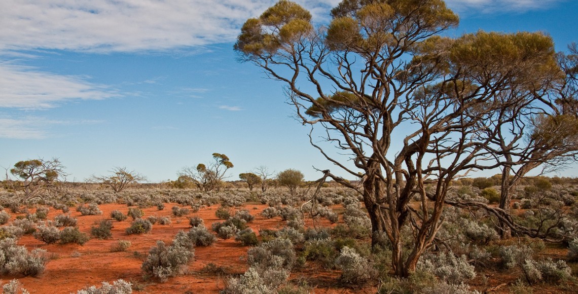 Webinar: Australian Equity Reporting Season - February 2026