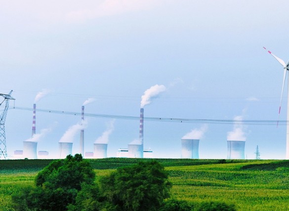 Navigating Disruption via Infrastructure and Value