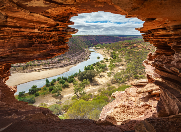 Webinar: Australian Equities Reporting Season Wrap
