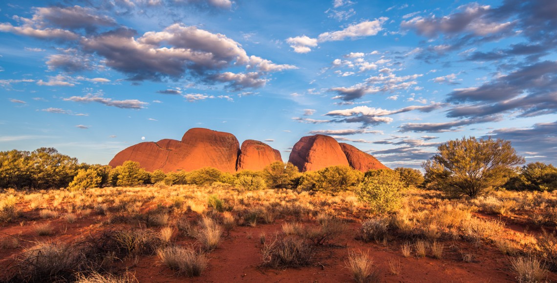 Australian Equity Reporting Season Wrap - August 2026