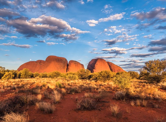 Australian Equity Reporting Season Wrap - August 2026