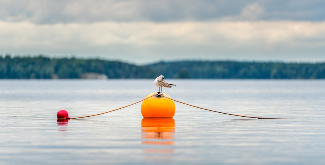 Midyear Outlook: Earnings Buoy Case for International Equities