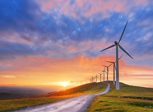 Will Renewables Survive the Energy Transition?