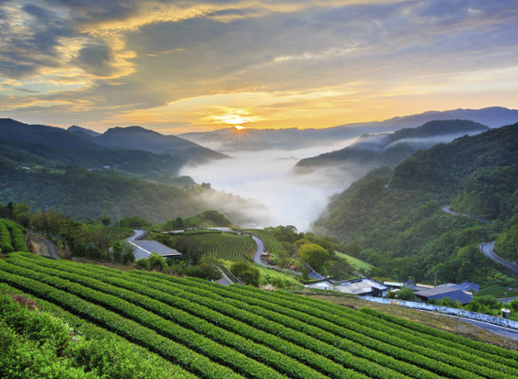 Emerging Markets Equity Outlook: Tides are Turning