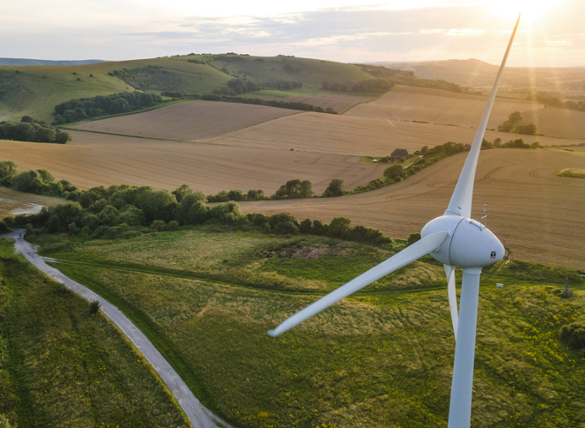 Q&A: Shifting U.S. Sustainability Priorities Resonate Globally