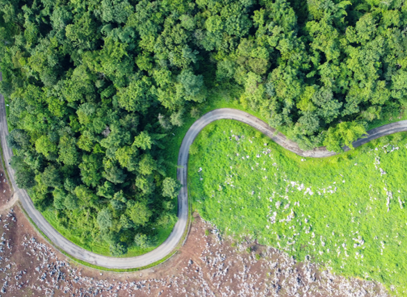 Global Improvers At Heart of Converging Trends