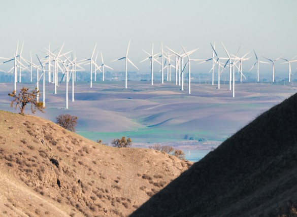 ESG Outlook: Greater Scrutiny on Companies and Sustainable Investments