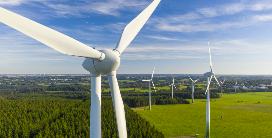 Will Renewables Survive the Energy Transition?