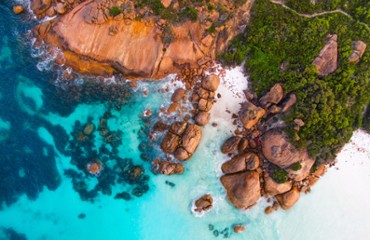 Australian Active Insights Strategy