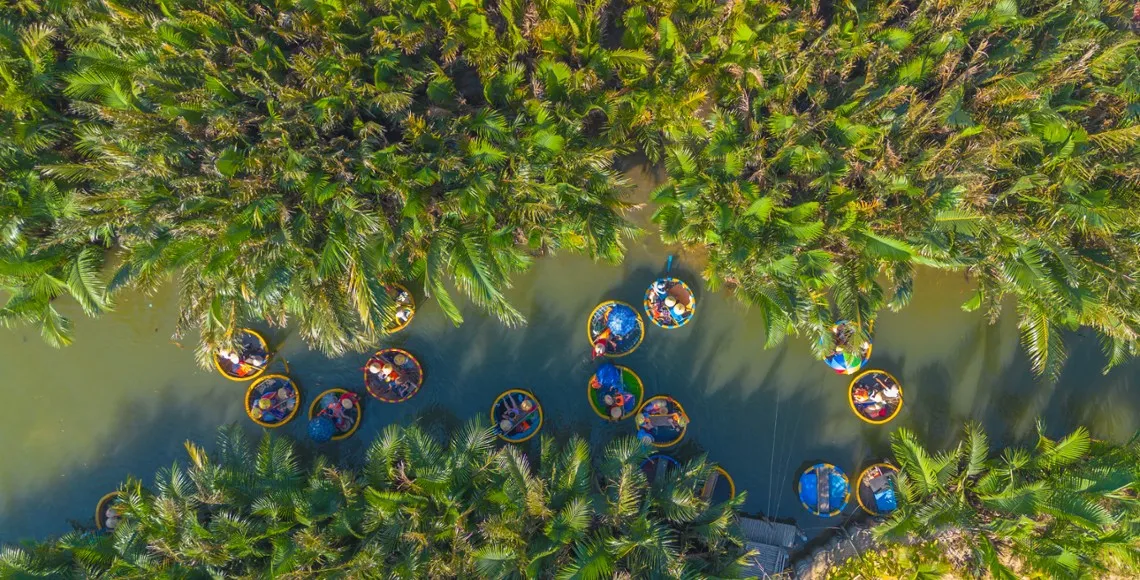 Asian AI Exposure Drives Outperformance