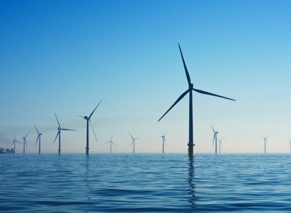 ClearBridge Investments 2023 Stewardship Report