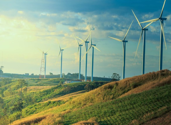 Opportunities in Decarbonisation Disruption