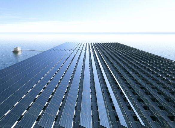 ClearBridge Investments 2025 Stewardship Report