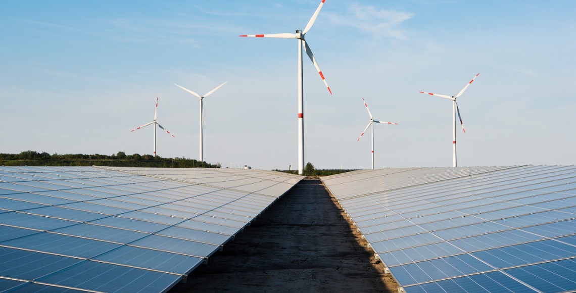ClearBridge Investments 2024 Stewardship Report